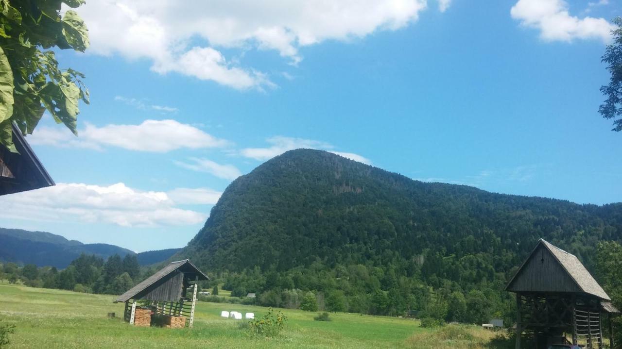 Vihar Apartmaji Bohinj Extérieur photo